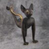 кот йог лапка назад