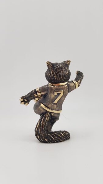 Кот-футболист